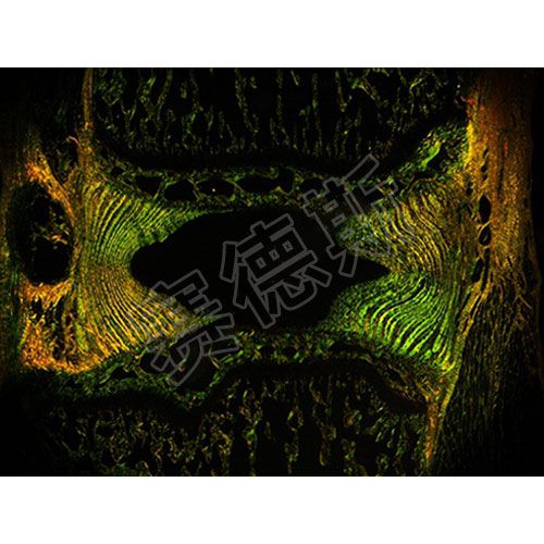 拍照（偏振光）